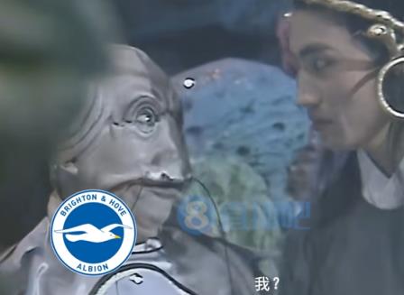 袋鼠体育直播